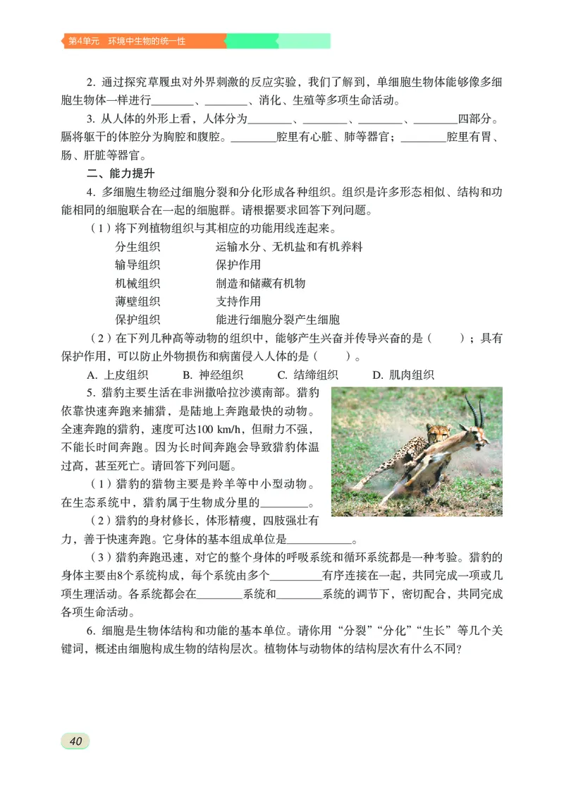 苏科版7年级生物下册高清教材_4-教培资料-26年最新资料-同步更新_初中高中教资_03科三专项（进去保存报考的学科即可）_02科三专项（笔记真题思维导图教学设计版本二）