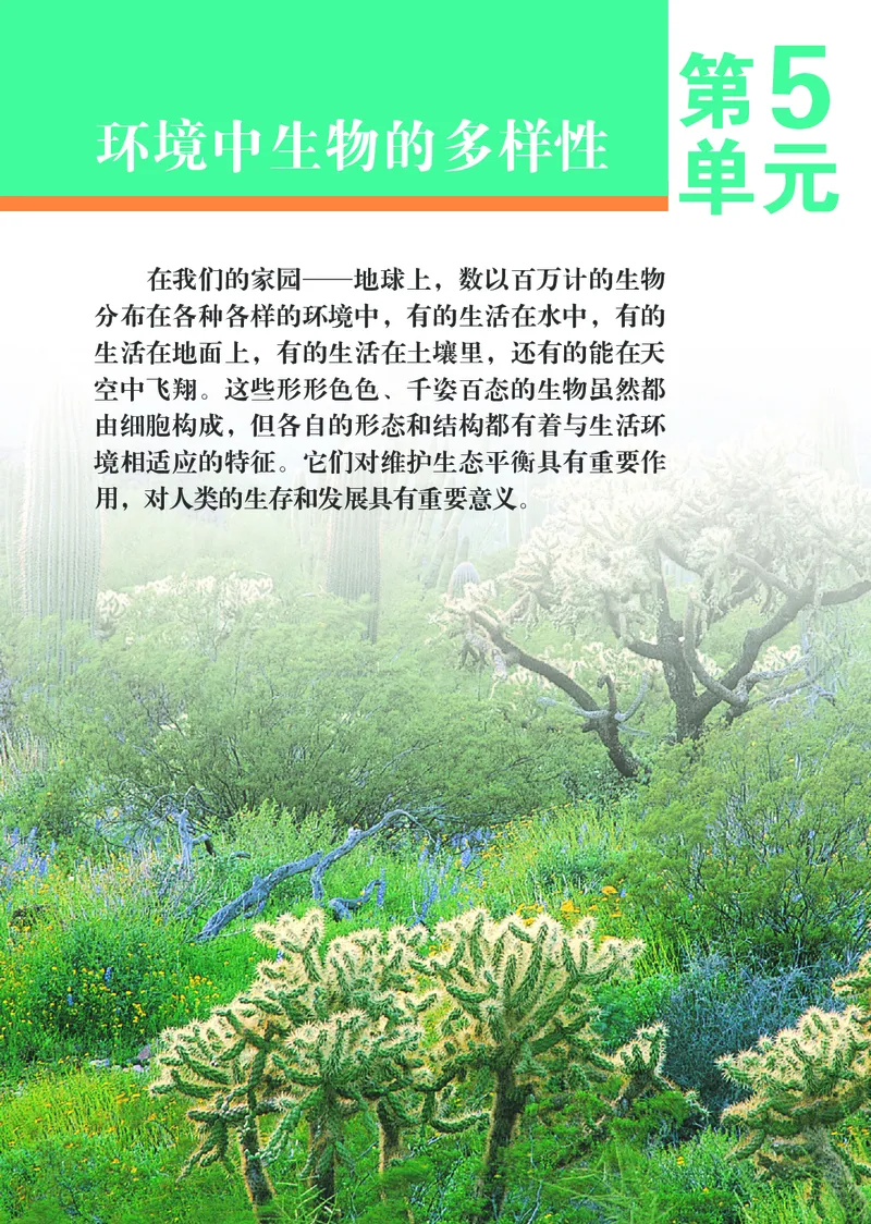 苏科版7年级生物下册高清教材_4-教培资料-26年最新资料-同步更新_初中高中教资_03科三专项（进去保存报考的学科即可）_02科三专项（笔记真题思维导图教学设计版本二）