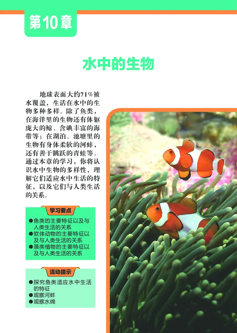 苏科版7年级生物下册高清教材_4-教培资料-26年最新资料-同步更新_初中高中教资_03科三专项（进去保存报考的学科即可）_02科三专项（笔记真题思维导图教学设计版本二）