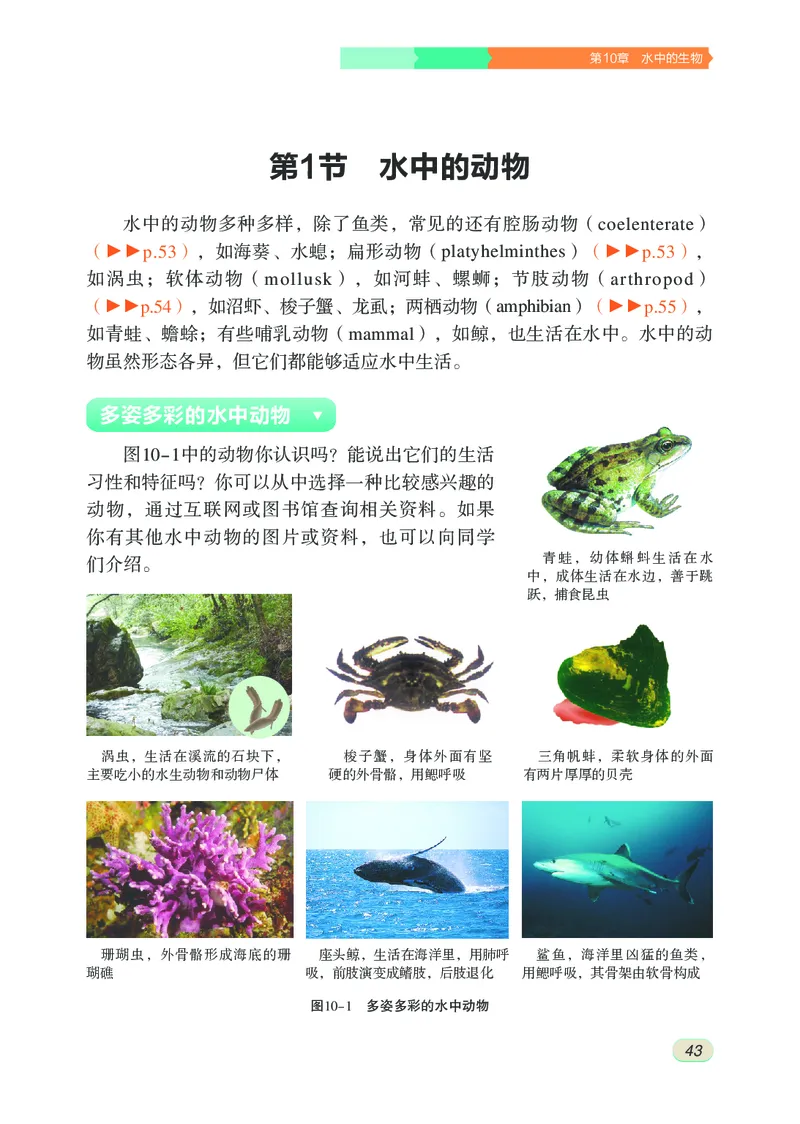 苏科版7年级生物下册高清教材_4-教培资料-26年最新资料-同步更新_初中高中教资_03科三专项（进去保存报考的学科即可）_02科三专项（笔记真题思维导图教学设计版本二）