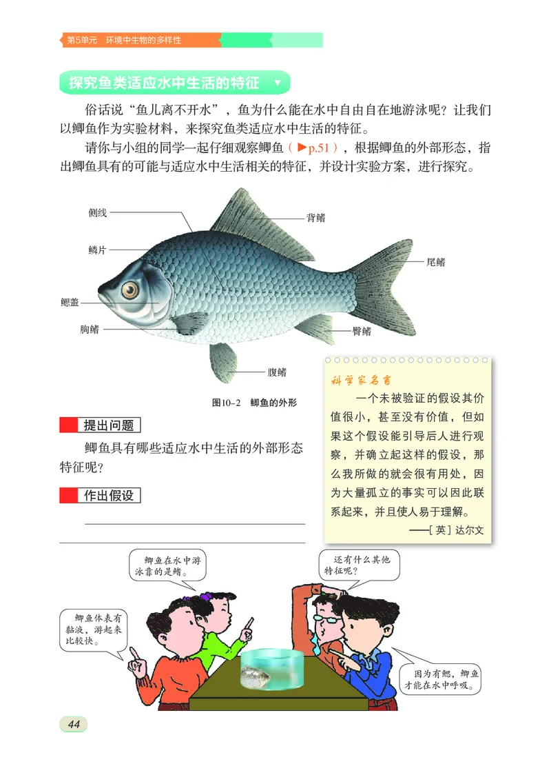 苏科版7年级生物下册高清教材_4-教培资料-26年最新资料-同步更新_初中高中教资_03科三专项（进去保存报考的学科即可）_02科三专项（笔记真题思维导图教学设计版本二）