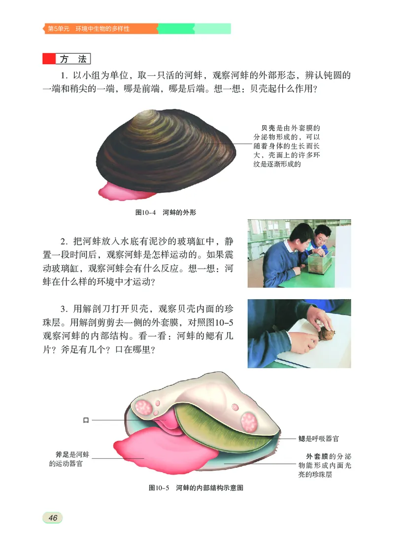 苏科版7年级生物下册高清教材_4-教培资料-26年最新资料-同步更新_初中高中教资_03科三专项（进去保存报考的学科即可）_02科三专项（笔记真题思维导图教学设计版本二）
