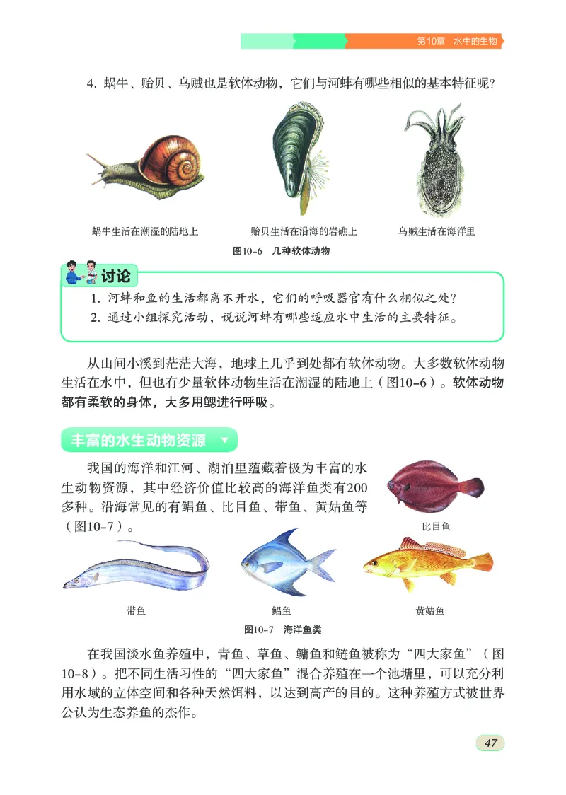 苏科版7年级生物下册高清教材_4-教培资料-26年最新资料-同步更新_初中高中教资_03科三专项（进去保存报考的学科即可）_02科三专项（笔记真题思维导图教学设计版本二）