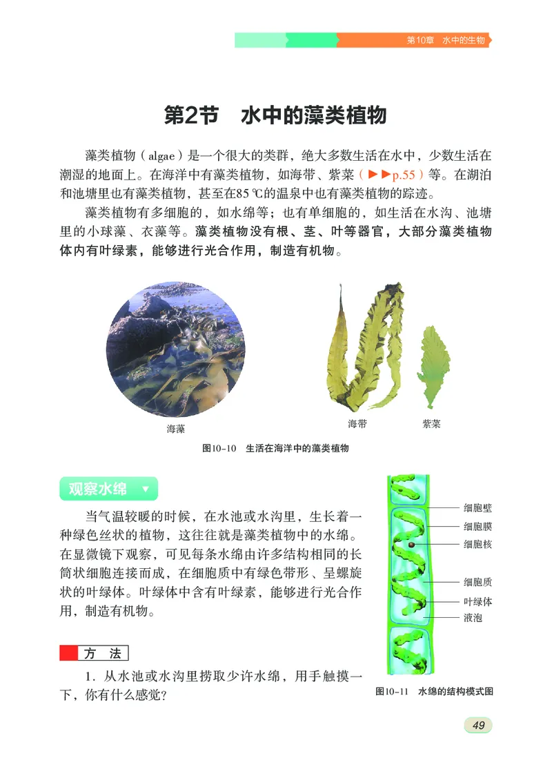 苏科版7年级生物下册高清教材_4-教培资料-26年最新资料-同步更新_初中高中教资_03科三专项（进去保存报考的学科即可）_02科三专项（笔记真题思维导图教学设计版本二）