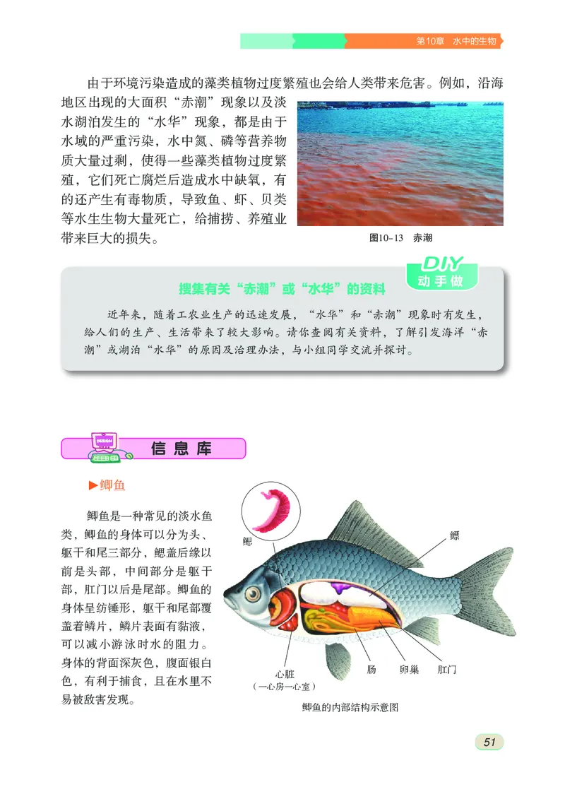 苏科版7年级生物下册高清教材_4-教培资料-26年最新资料-同步更新_初中高中教资_03科三专项（进去保存报考的学科即可）_02科三专项（笔记真题思维导图教学设计版本二）