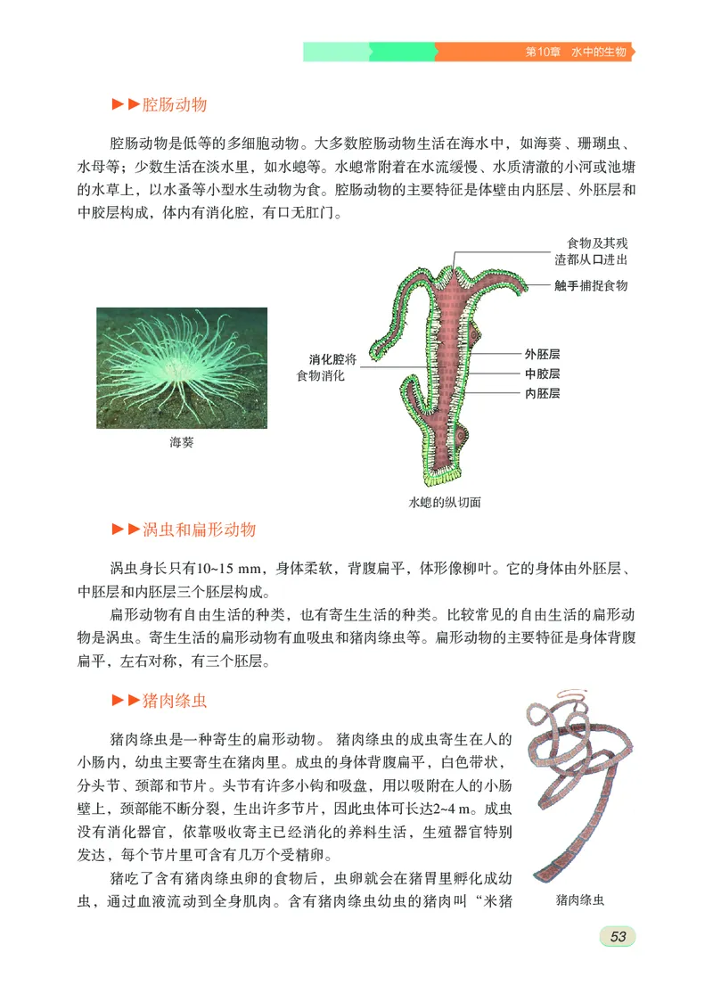 苏科版7年级生物下册高清教材_4-教培资料-26年最新资料-同步更新_初中高中教资_03科三专项（进去保存报考的学科即可）_02科三专项（笔记真题思维导图教学设计版本二）