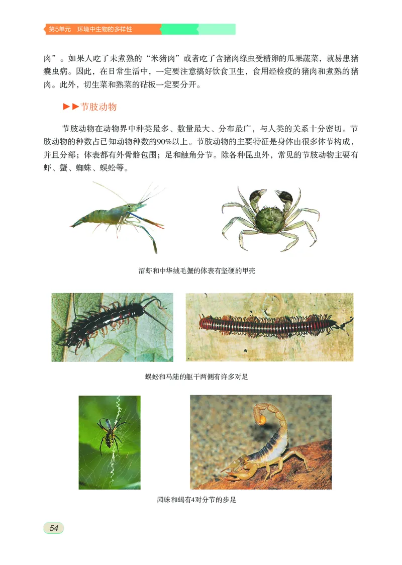 苏科版7年级生物下册高清教材_4-教培资料-26年最新资料-同步更新_初中高中教资_03科三专项（进去保存报考的学科即可）_02科三专项（笔记真题思维导图教学设计版本二）