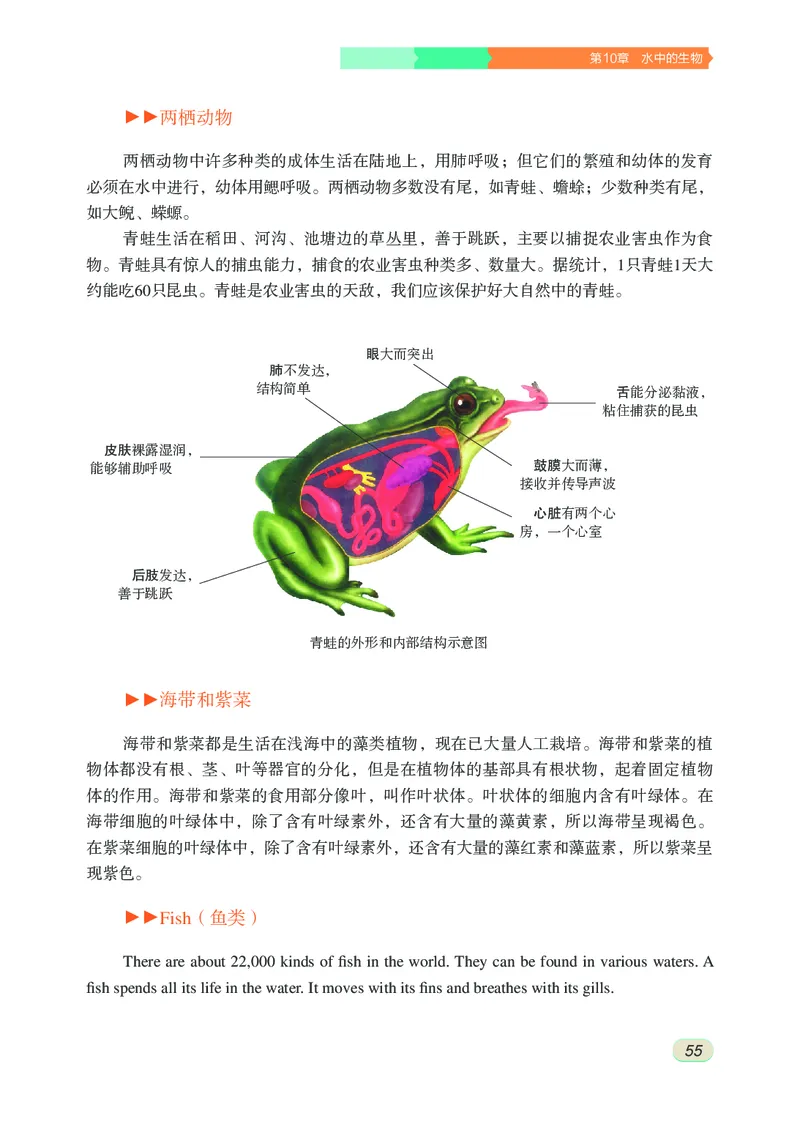 苏科版7年级生物下册高清教材_4-教培资料-26年最新资料-同步更新_初中高中教资_03科三专项（进去保存报考的学科即可）_02科三专项（笔记真题思维导图教学设计版本二）