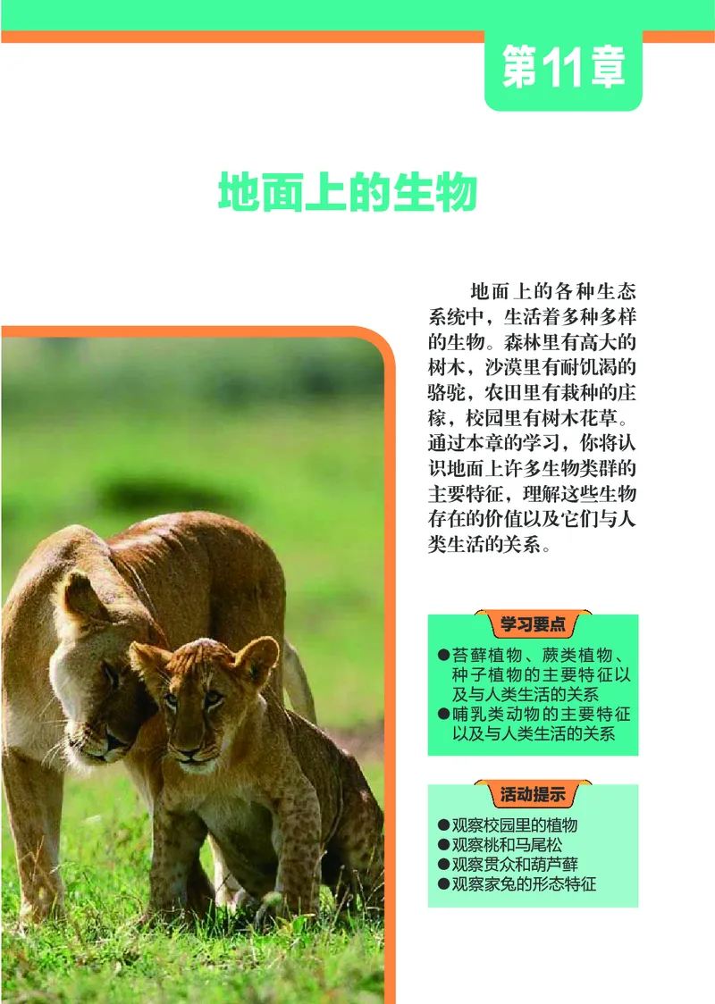 苏科版7年级生物下册高清教材_4-教培资料-26年最新资料-同步更新_初中高中教资_03科三专项（进去保存报考的学科即可）_02科三专项（笔记真题思维导图教学设计版本二）