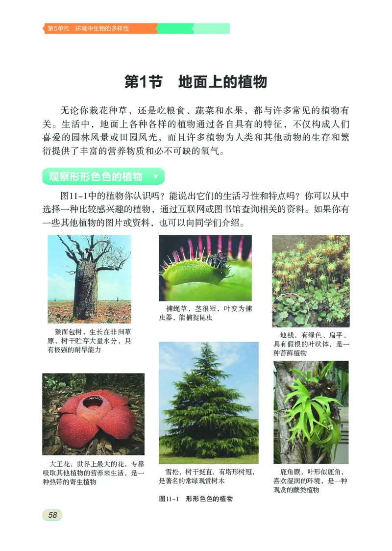 苏科版7年级生物下册高清教材_4-教培资料-26年最新资料-同步更新_初中高中教资_03科三专项（进去保存报考的学科即可）_02科三专项（笔记真题思维导图教学设计版本二）