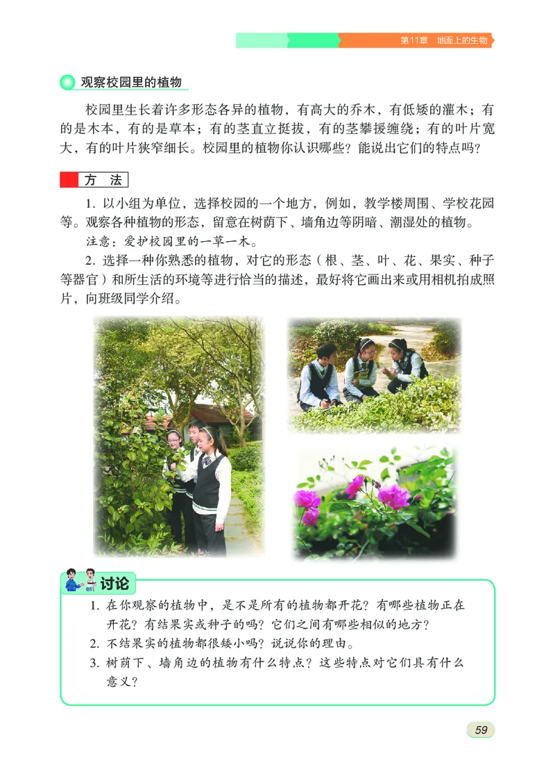 苏科版7年级生物下册高清教材_4-教培资料-26年最新资料-同步更新_初中高中教资_03科三专项（进去保存报考的学科即可）_02科三专项（笔记真题思维导图教学设计版本二）