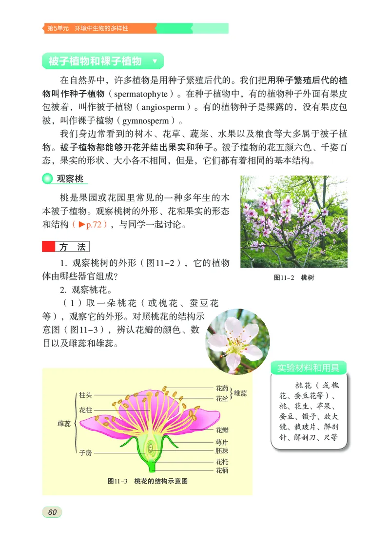 苏科版7年级生物下册高清教材_4-教培资料-26年最新资料-同步更新_初中高中教资_03科三专项（进去保存报考的学科即可）_02科三专项（笔记真题思维导图教学设计版本二）