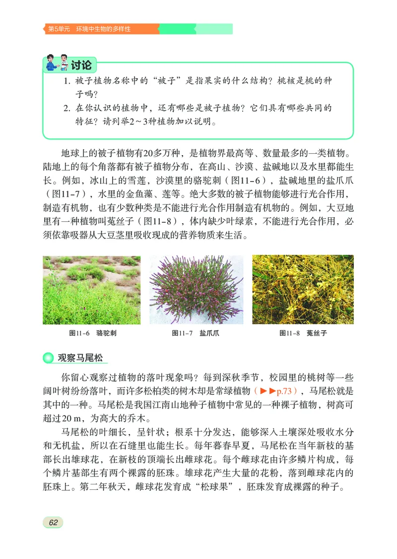 苏科版7年级生物下册高清教材_4-教培资料-26年最新资料-同步更新_初中高中教资_03科三专项（进去保存报考的学科即可）_02科三专项（笔记真题思维导图教学设计版本二）