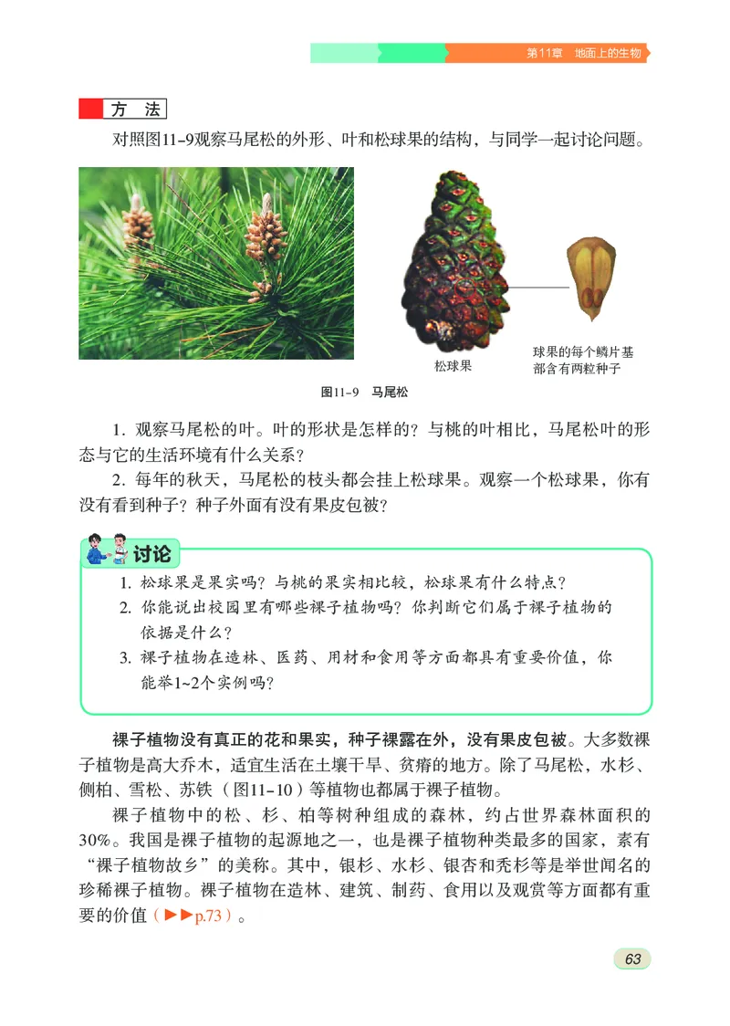 苏科版7年级生物下册高清教材_4-教培资料-26年最新资料-同步更新_初中高中教资_03科三专项（进去保存报考的学科即可）_02科三专项（笔记真题思维导图教学设计版本二）
