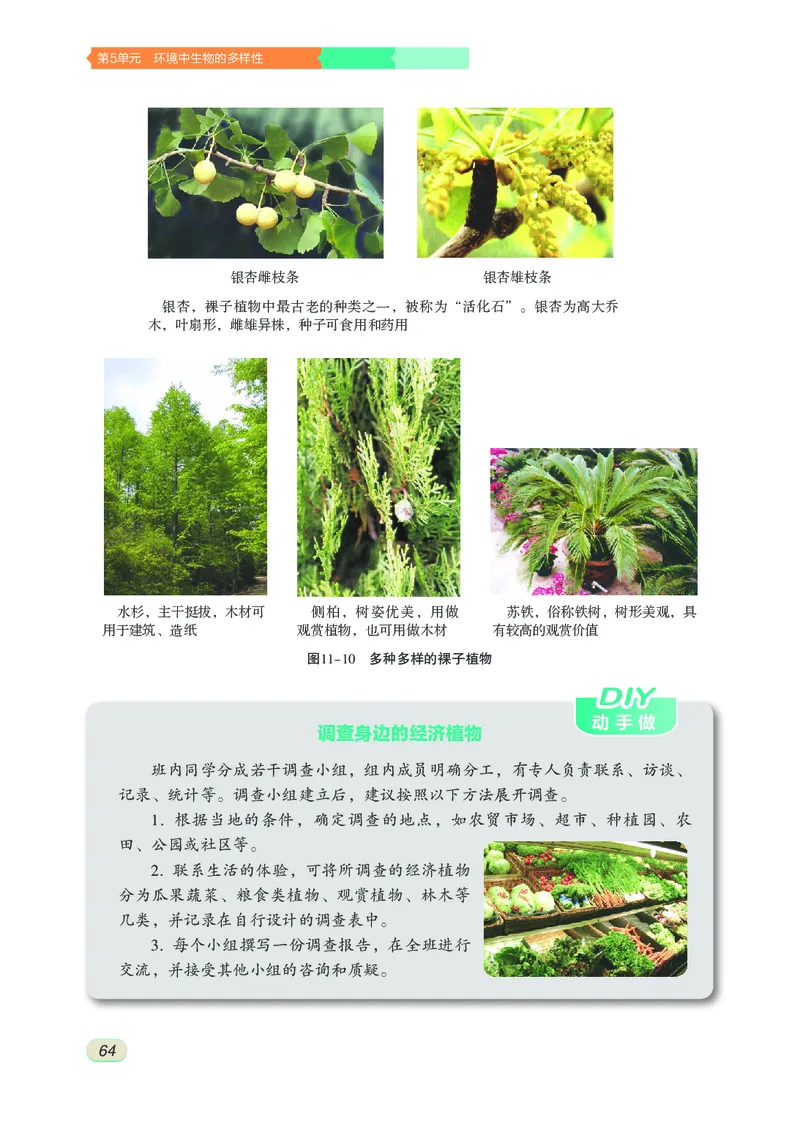 苏科版7年级生物下册高清教材_4-教培资料-26年最新资料-同步更新_初中高中教资_03科三专项（进去保存报考的学科即可）_02科三专项（笔记真题思维导图教学设计版本二）