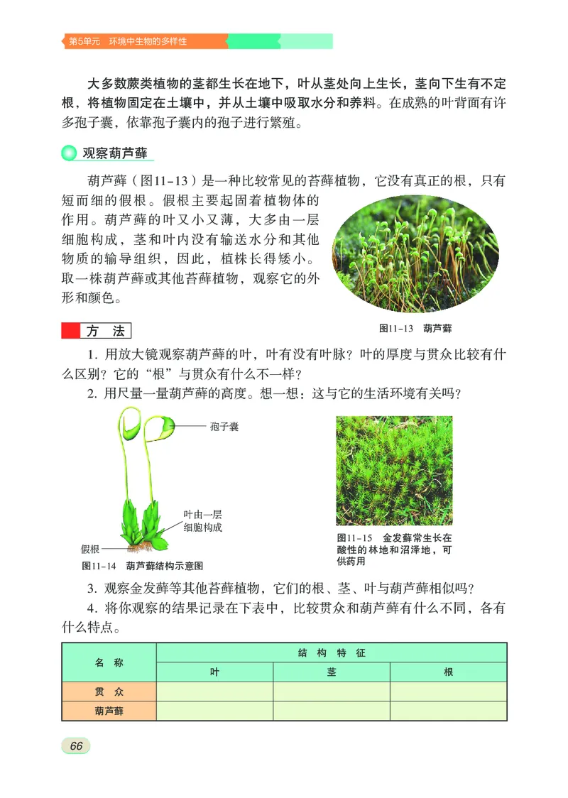 苏科版7年级生物下册高清教材_4-教培资料-26年最新资料-同步更新_初中高中教资_03科三专项（进去保存报考的学科即可）_02科三专项（笔记真题思维导图教学设计版本二）