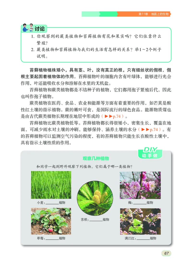 苏科版7年级生物下册高清教材_4-教培资料-26年最新资料-同步更新_初中高中教资_03科三专项（进去保存报考的学科即可）_02科三专项（笔记真题思维导图教学设计版本二）