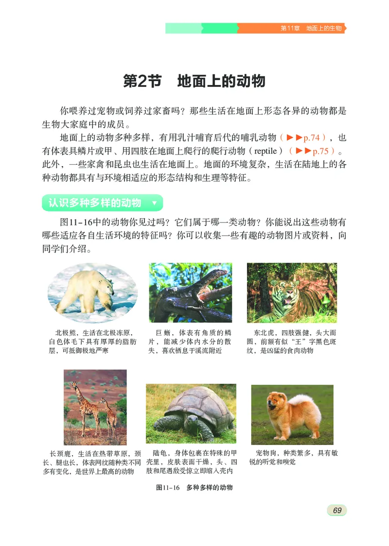 苏科版7年级生物下册高清教材_4-教培资料-26年最新资料-同步更新_初中高中教资_03科三专项（进去保存报考的学科即可）_02科三专项（笔记真题思维导图教学设计版本二）