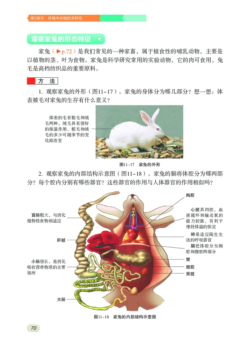 苏科版7年级生物下册高清教材_4-教培资料-26年最新资料-同步更新_初中高中教资_03科三专项（进去保存报考的学科即可）_02科三专项（笔记真题思维导图教学设计版本二）