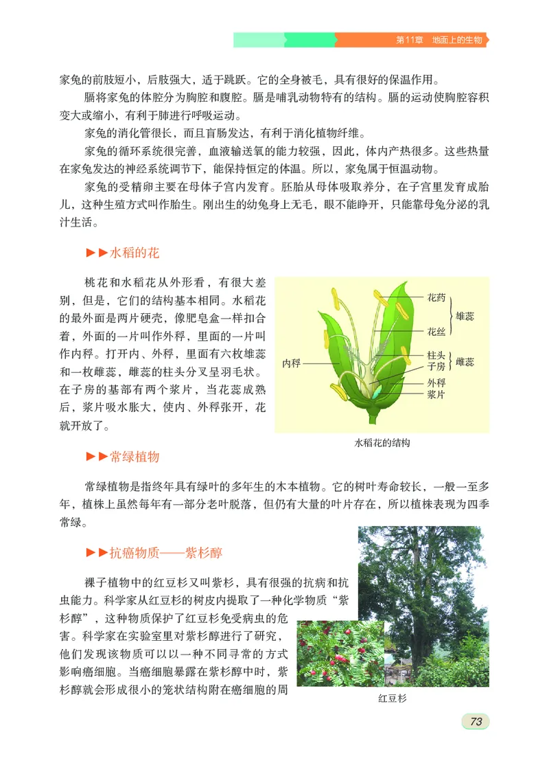 苏科版7年级生物下册高清教材_4-教培资料-26年最新资料-同步更新_初中高中教资_03科三专项（进去保存报考的学科即可）_02科三专项（笔记真题思维导图教学设计版本二）