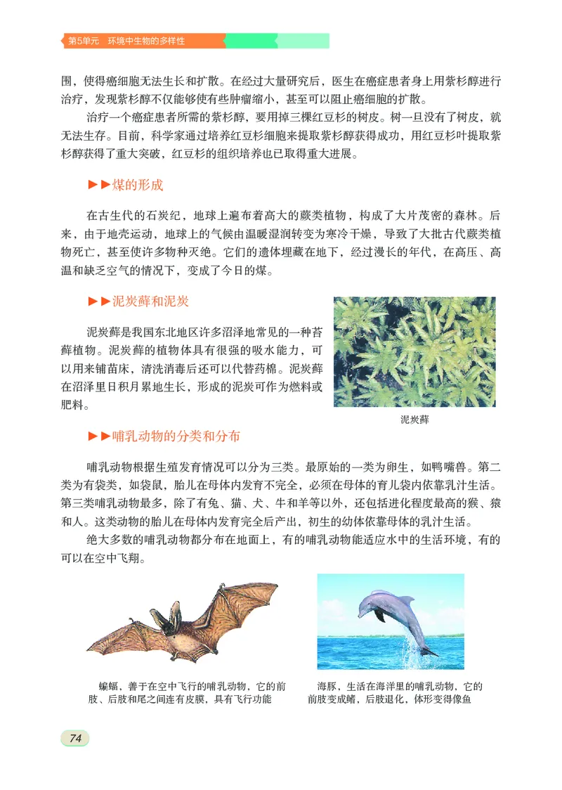 苏科版7年级生物下册高清教材_4-教培资料-26年最新资料-同步更新_初中高中教资_03科三专项（进去保存报考的学科即可）_02科三专项（笔记真题思维导图教学设计版本二）