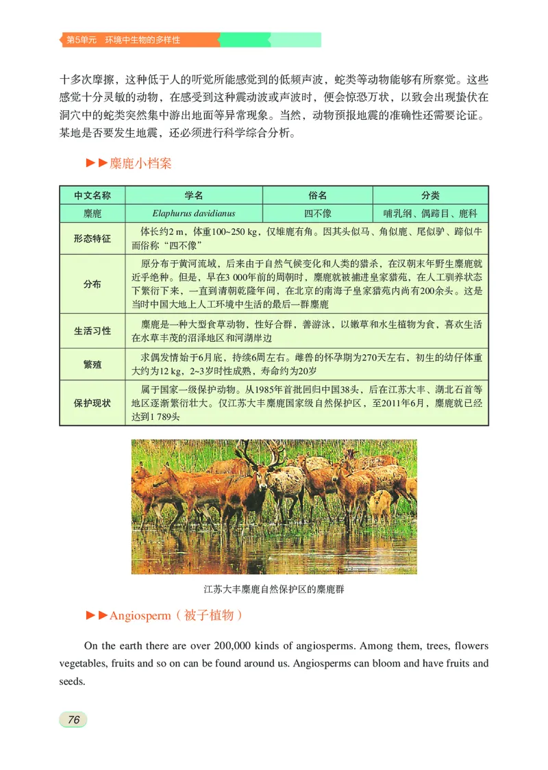 苏科版7年级生物下册高清教材_4-教培资料-26年最新资料-同步更新_初中高中教资_03科三专项（进去保存报考的学科即可）_02科三专项（笔记真题思维导图教学设计版本二）