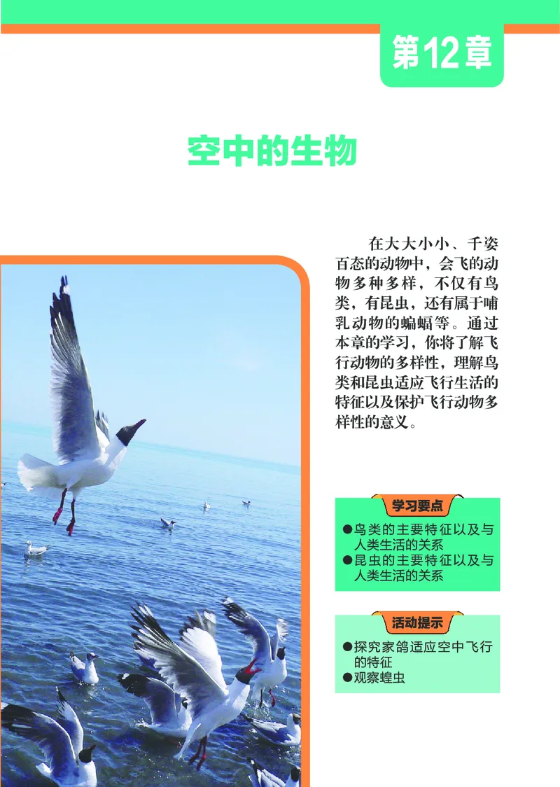 苏科版7年级生物下册高清教材_4-教培资料-26年最新资料-同步更新_初中高中教资_03科三专项（进去保存报考的学科即可）_02科三专项（笔记真题思维导图教学设计版本二）