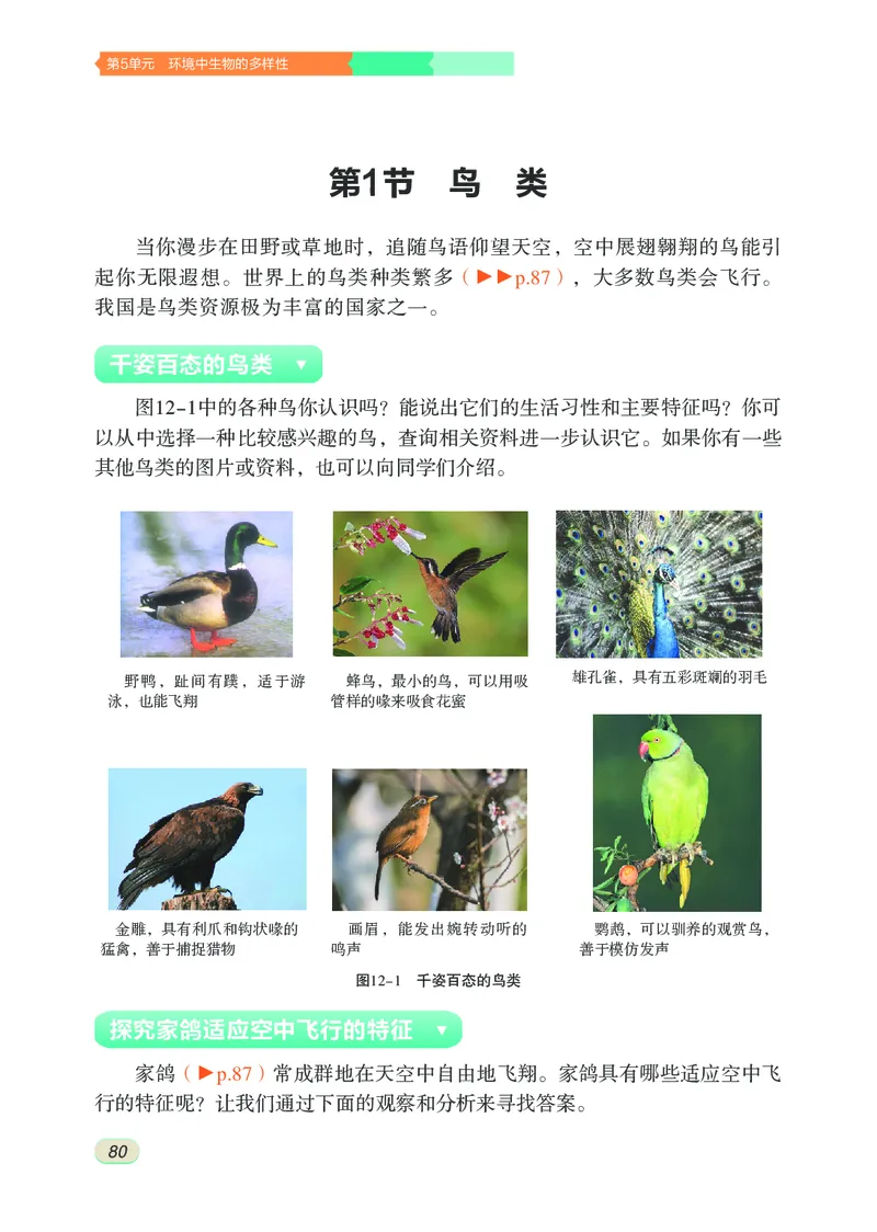 苏科版7年级生物下册高清教材_4-教培资料-26年最新资料-同步更新_初中高中教资_03科三专项（进去保存报考的学科即可）_02科三专项（笔记真题思维导图教学设计版本二）