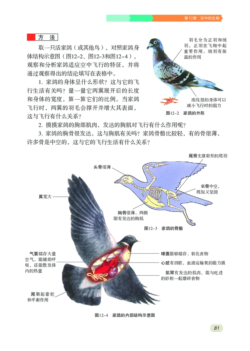 苏科版7年级生物下册高清教材_4-教培资料-26年最新资料-同步更新_初中高中教资_03科三专项（进去保存报考的学科即可）_02科三专项（笔记真题思维导图教学设计版本二）