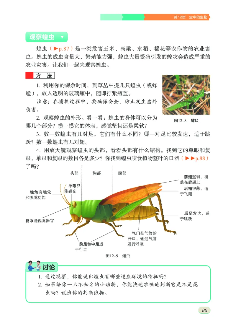 苏科版7年级生物下册高清教材_4-教培资料-26年最新资料-同步更新_初中高中教资_03科三专项（进去保存报考的学科即可）_02科三专项（笔记真题思维导图教学设计版本二）