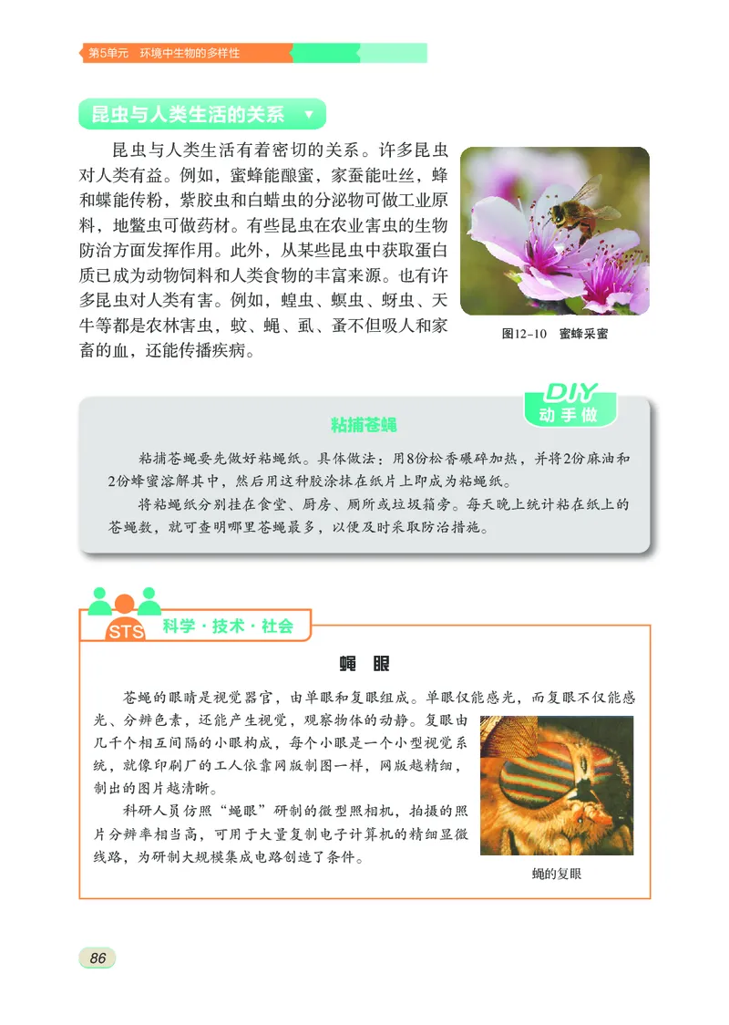 苏科版7年级生物下册高清教材_4-教培资料-26年最新资料-同步更新_初中高中教资_03科三专项（进去保存报考的学科即可）_02科三专项（笔记真题思维导图教学设计版本二）