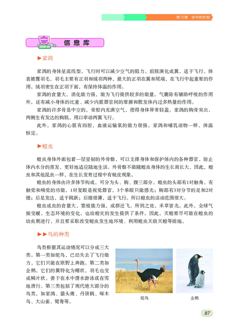 苏科版7年级生物下册高清教材_4-教培资料-26年最新资料-同步更新_初中高中教资_03科三专项（进去保存报考的学科即可）_02科三专项（笔记真题思维导图教学设计版本二）