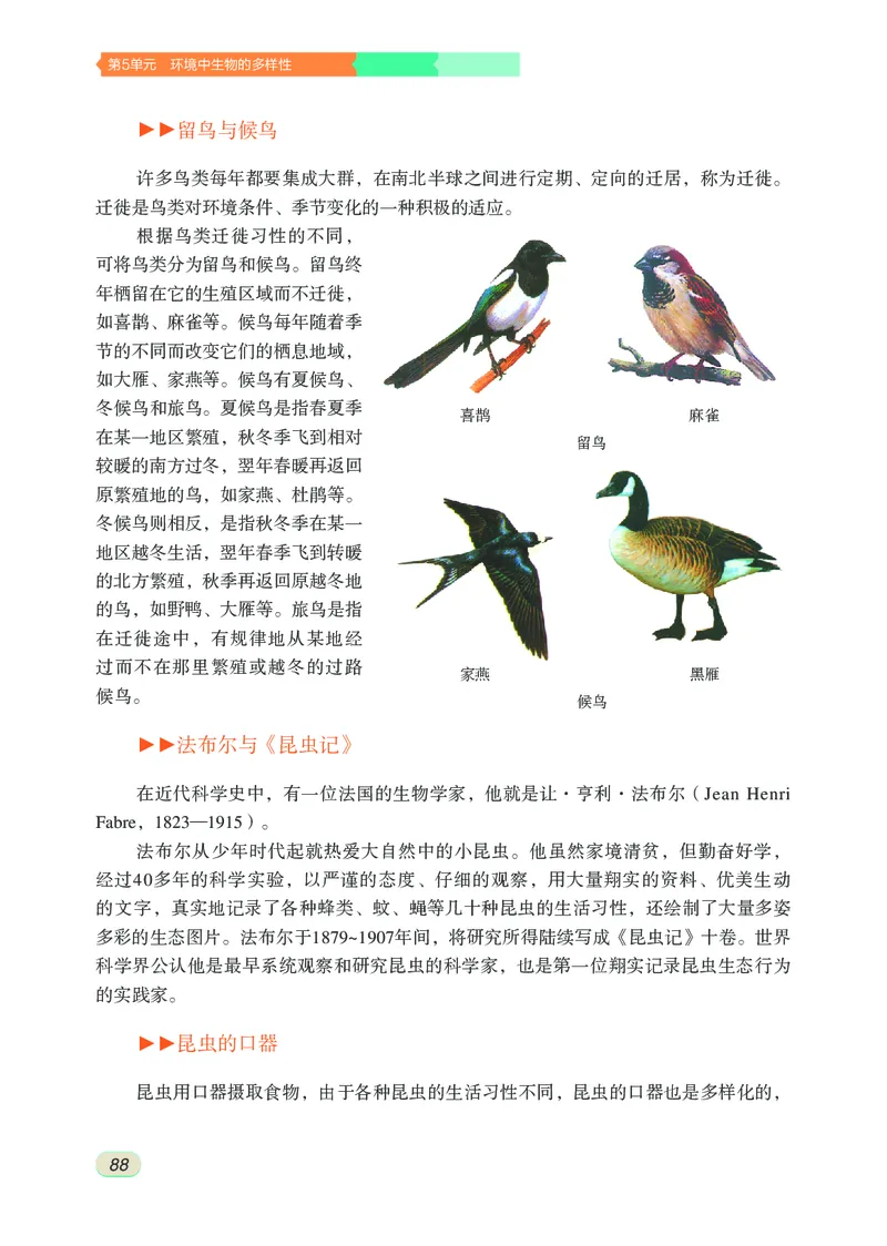 苏科版7年级生物下册高清教材_4-教培资料-26年最新资料-同步更新_初中高中教资_03科三专项（进去保存报考的学科即可）_02科三专项（笔记真题思维导图教学设计版本二）