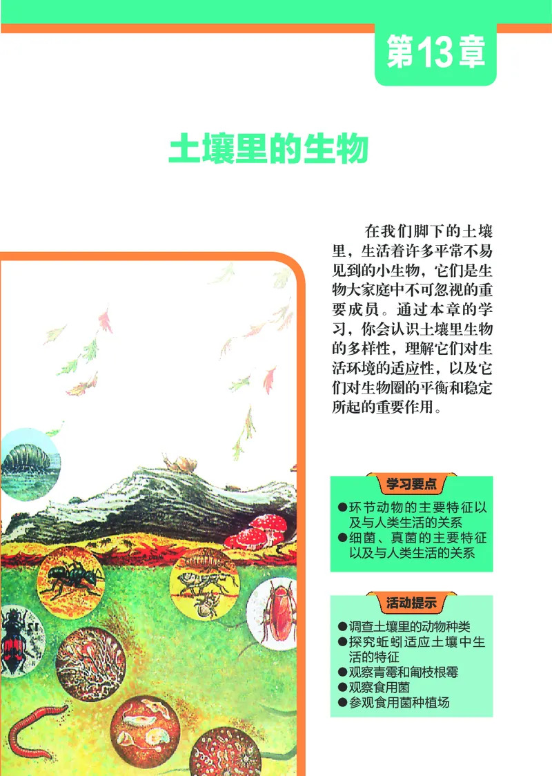 苏科版7年级生物下册高清教材_4-教培资料-26年最新资料-同步更新_初中高中教资_03科三专项（进去保存报考的学科即可）_02科三专项（笔记真题思维导图教学设计版本二）