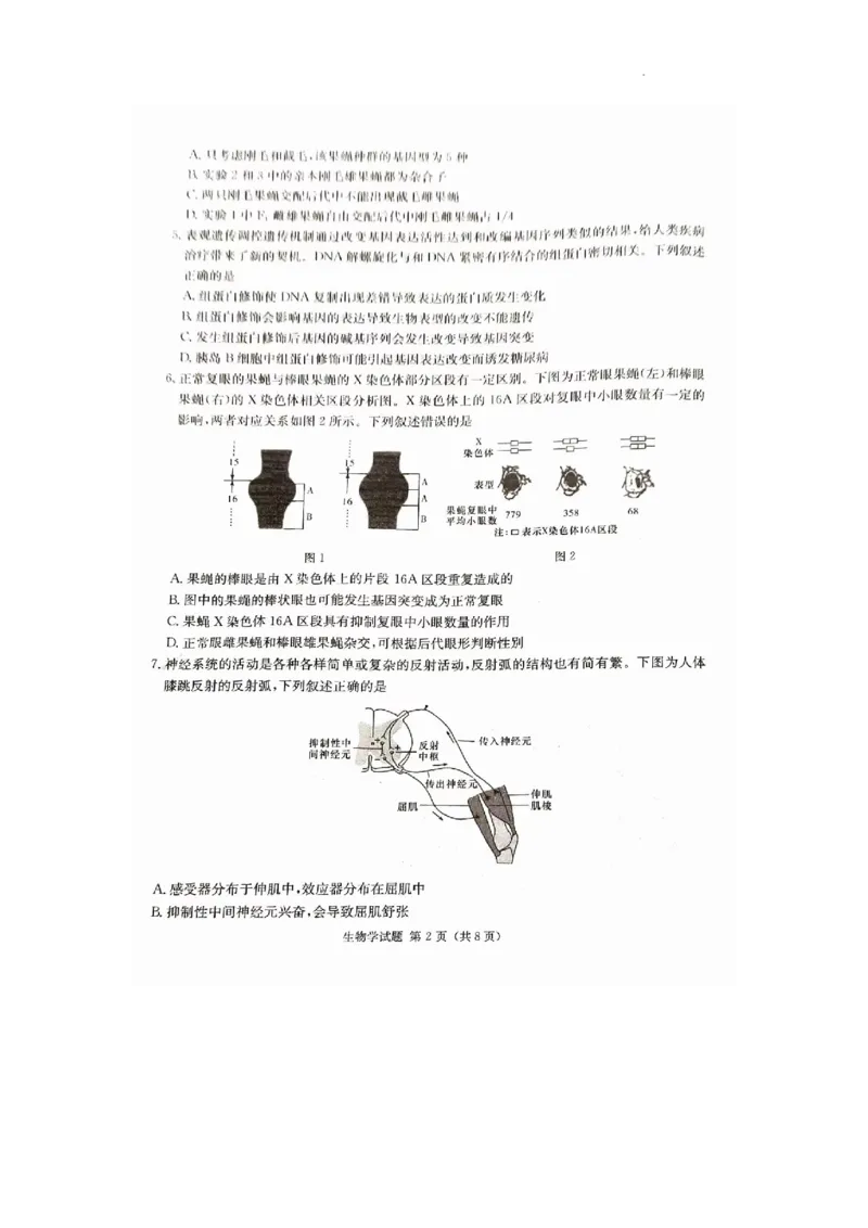 娄底市2023年高三质量检测生物试题_2024届湖南省娄底市高三上学期期末考试_湖南省娄底市2024届高三上学期期末考试生物