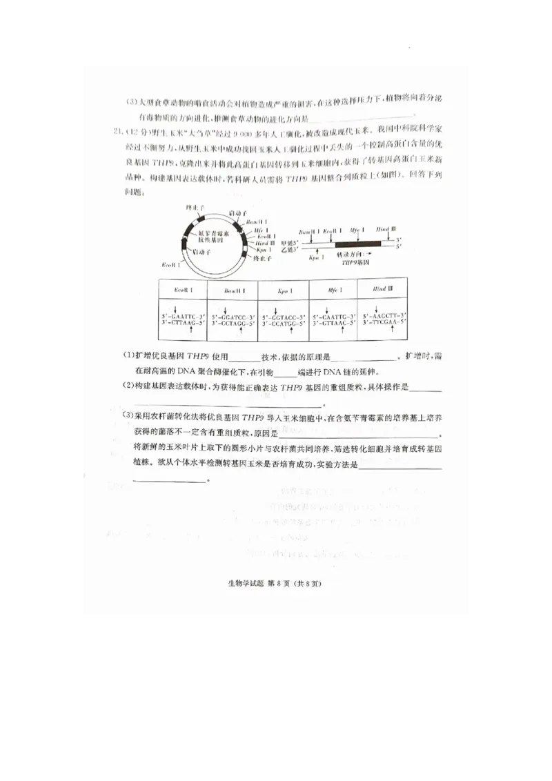 娄底市2023年高三质量检测生物试题_2024届湖南省娄底市高三上学期期末考试_湖南省娄底市2024届高三上学期期末考试生物