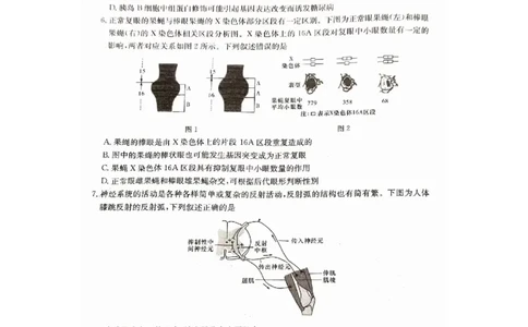 娄底市2023年高三质量检测生物试题_2024届湖南省娄底市高三上学期期末考试_湖南省娄底市2024届高三上学期期末考试生物