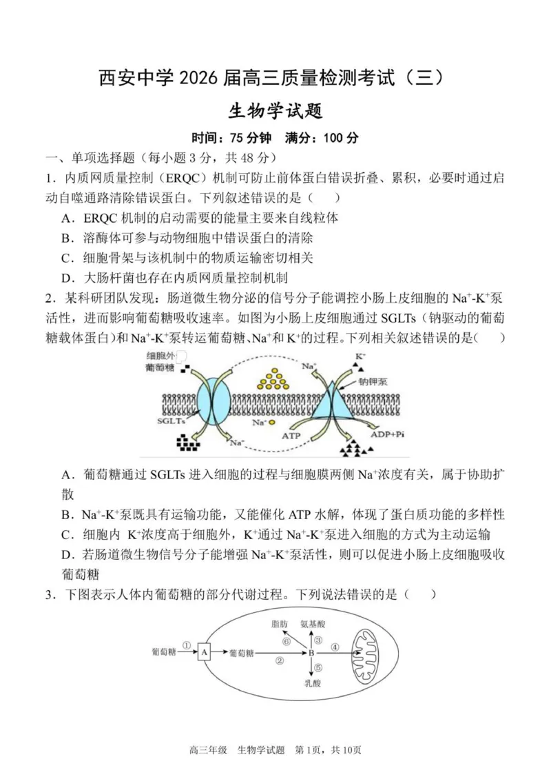 质量检测（三）生物试题_2025年12月_251222陕西省西安中学2025-2026学年高三上学期质量检测（三）（全科）_陕西省西安中学2025-2026学年高三上学期质量检测生物试卷（三）（含答案）