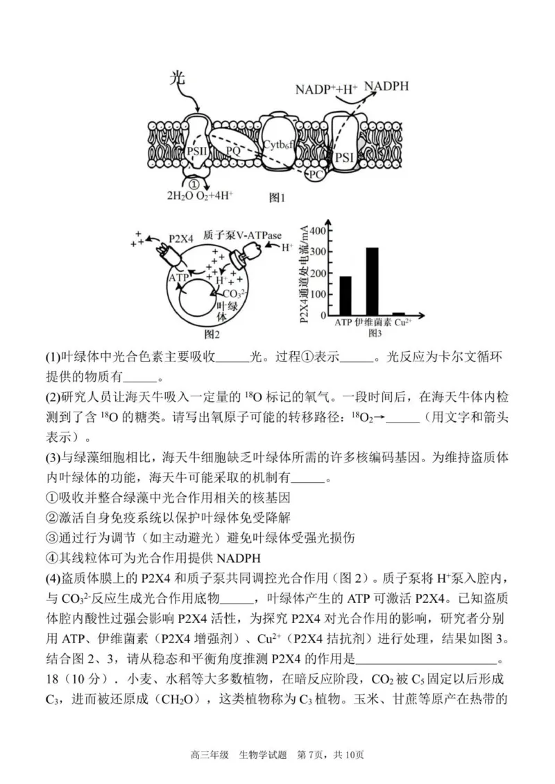 质量检测（三）生物试题_2025年12月_251222陕西省西安中学2025-2026学年高三上学期质量检测（三）（全科）_陕西省西安中学2025-2026学年高三上学期质量检测生物试卷（三）（含答案）