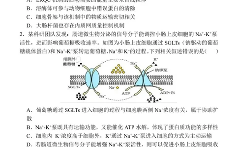 质量检测（三）生物试题_2025年12月_251222陕西省西安中学2025-2026学年高三上学期质量检测（三）（全科）_陕西省西安中学2025-2026学年高三上学期质量检测生物试卷（三）（含答案）