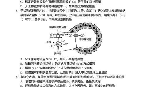 海南省海南中学等四校2024-2025学年高三下学期3月联考生物试题（含答案）_2025年4月_2504012025届海南省海南中学、海口市第一中学、文昌中学、嘉积中学四校高三下学期模拟联考