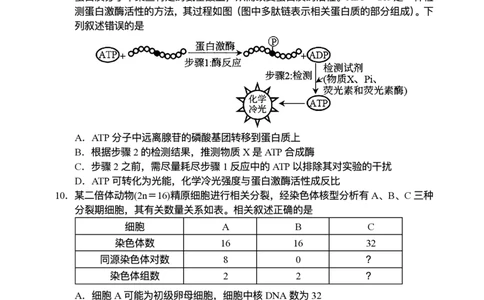 海南省海南中学等四校2024-2025学年高三下学期3月联考生物试题（含答案）_2025年4月_2504012025届海南省海南中学、海口市第一中学、文昌中学、嘉积中学四校高三下学期模拟联考