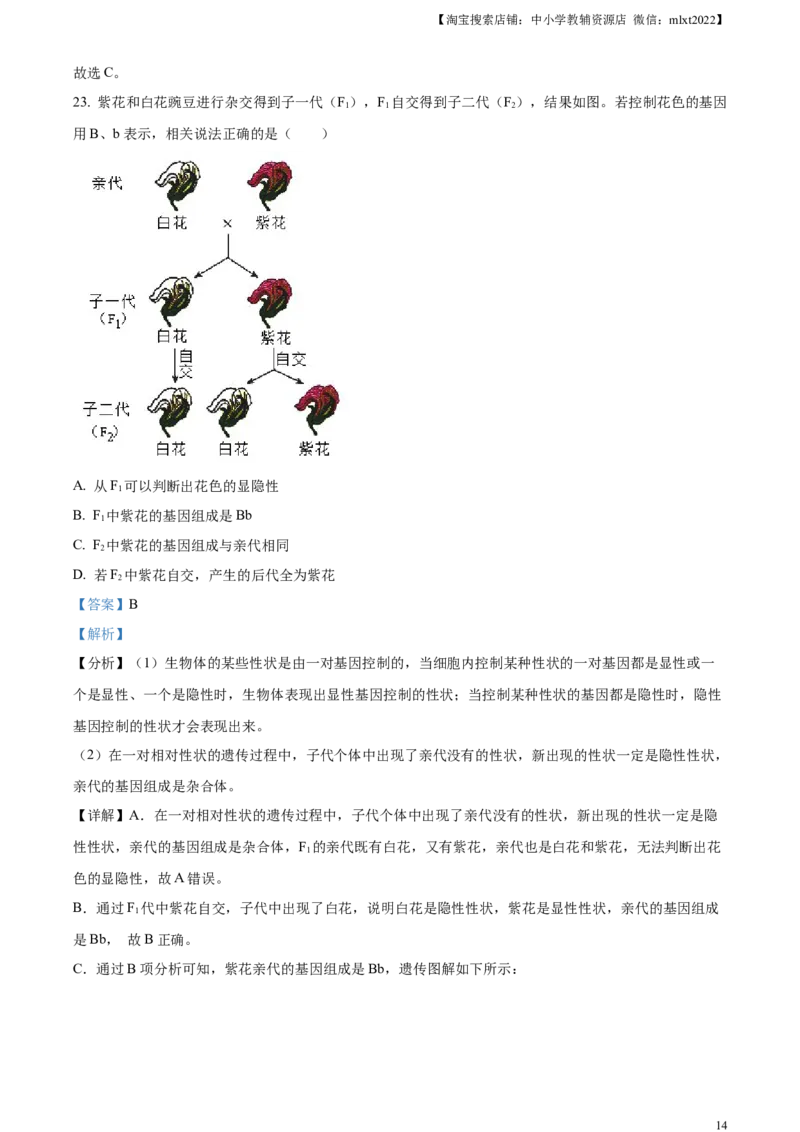 精品解析：2023年山东省烟台市中考生物真题（解析版）_中考真题_8.生物中考真题2015-2024年_2023年全国中考生物7.20_精品解析：2023年山东省烟台市中考生物真题