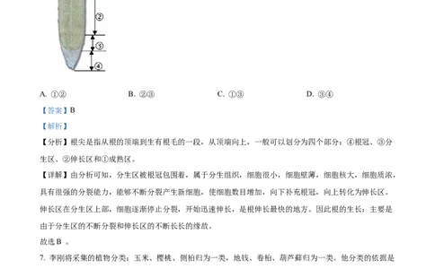 精品解析：2023年山东省烟台市中考生物真题（解析版）_中考真题_8.生物中考真题2015-2024年_2023年全国中考生物7.20_精品解析：2023年山东省烟台市中考生物真题