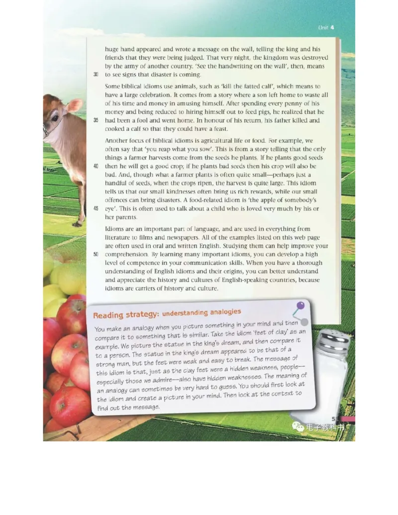 苏教牛津译林版高中英语模块9电子课本_4-教培资料-26年最新资料-同步更新_初中高中教资_03科三专项（进去保存报考的学科即可）_02科三专项（笔记真题思维导图教学设计版本二）