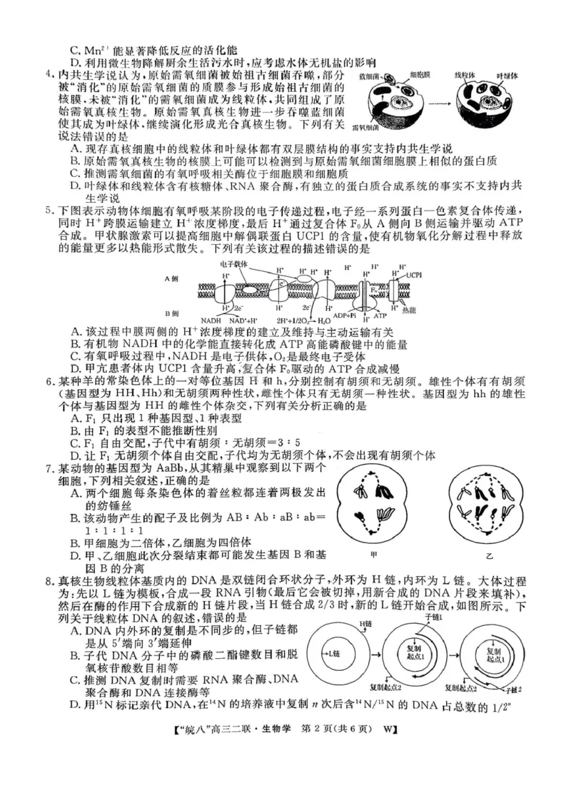 生物试卷-2026届安徽省&ldquo;皖南八校&rdquo;高三第二次大联考_2025年12月_2512192026届安徽省&ldquo;皖南八校&rdquo;高三第二次大联考（全科）_2026届安徽省&ldquo;皖南八校&rdquo;高三第二次大联考生物