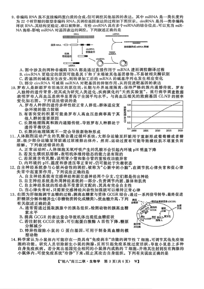 生物试卷-2026届安徽省&ldquo;皖南八校&rdquo;高三第二次大联考_2025年12月_2512192026届安徽省&ldquo;皖南八校&rdquo;高三第二次大联考（全科）_2026届安徽省&ldquo;皖南八校&rdquo;高三第二次大联考生物