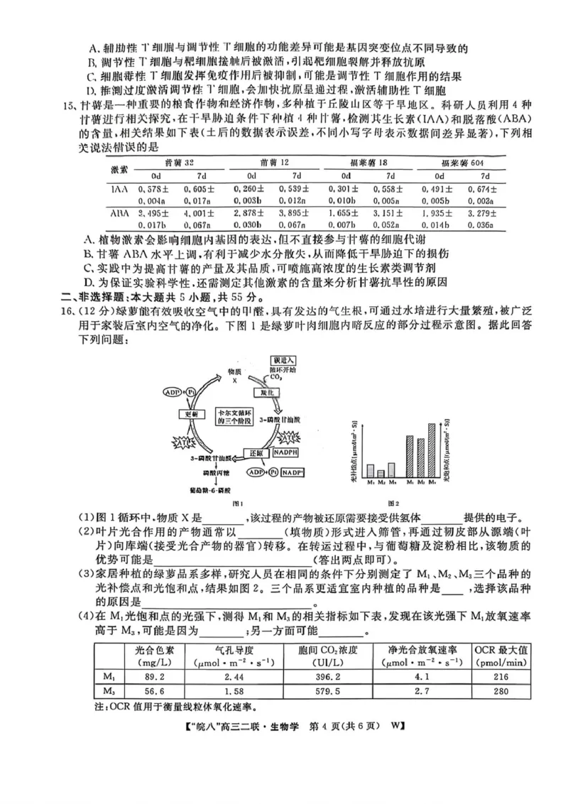 生物试卷-2026届安徽省&ldquo;皖南八校&rdquo;高三第二次大联考_2025年12月_2512192026届安徽省&ldquo;皖南八校&rdquo;高三第二次大联考（全科）_2026届安徽省&ldquo;皖南八校&rdquo;高三第二次大联考生物