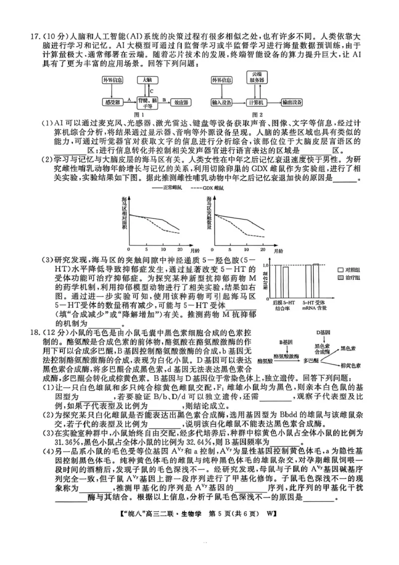 生物试卷-2026届安徽省&ldquo;皖南八校&rdquo;高三第二次大联考_2025年12月_2512192026届安徽省&ldquo;皖南八校&rdquo;高三第二次大联考（全科）_2026届安徽省&ldquo;皖南八校&rdquo;高三第二次大联考生物