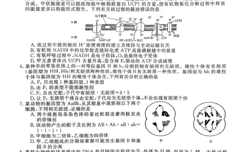 生物试卷-2026届安徽省&ldquo;皖南八校&rdquo;高三第二次大联考_2025年12月_2512192026届安徽省&ldquo;皖南八校&rdquo;高三第二次大联考（全科）_2026届安徽省&ldquo;皖南八校&rdquo;高三第二次大联考生物